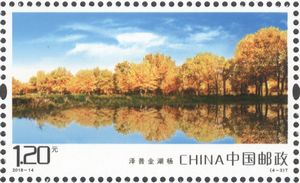 ����ʲ��⡷������Ʊ